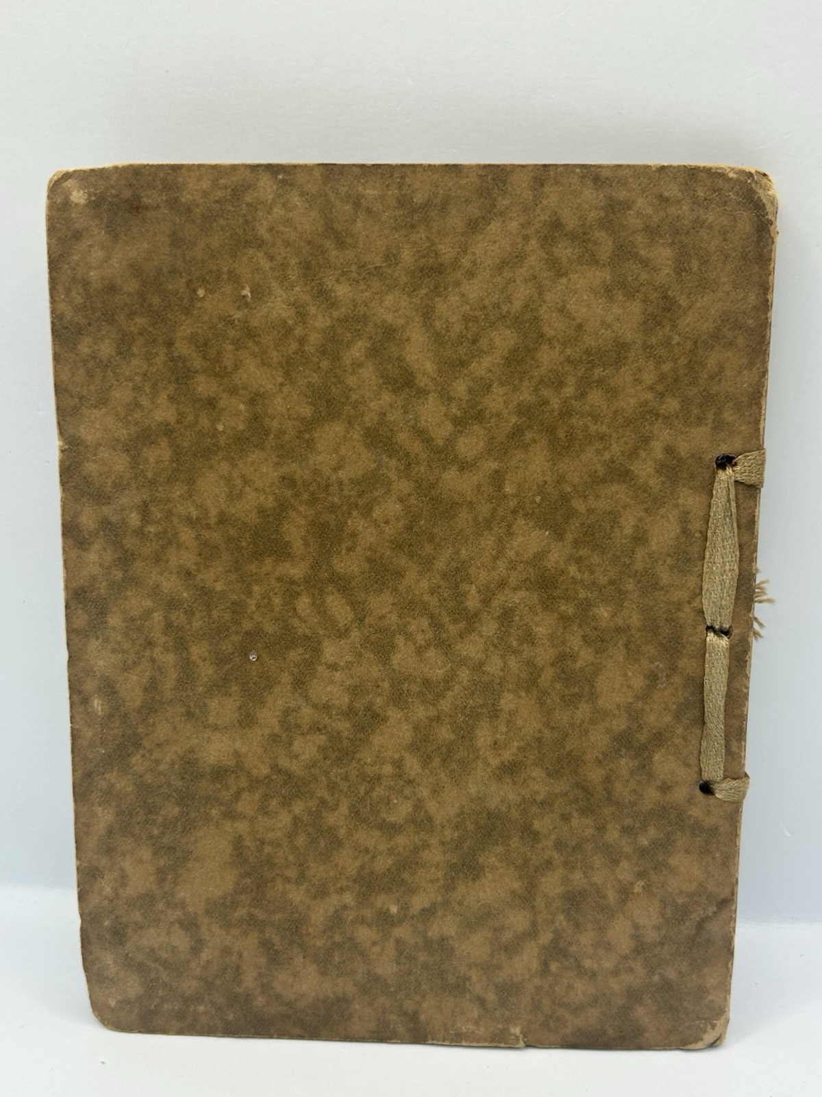 That Something 1925, W.W. Woodbridge, original ribbon, self-improvement, 24th Ed
