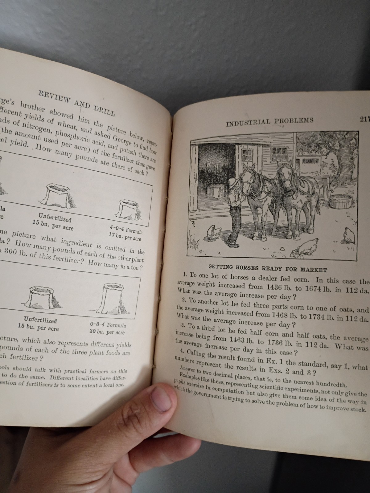 Mathematics Hardcover Illustrated Book – Antique Book
