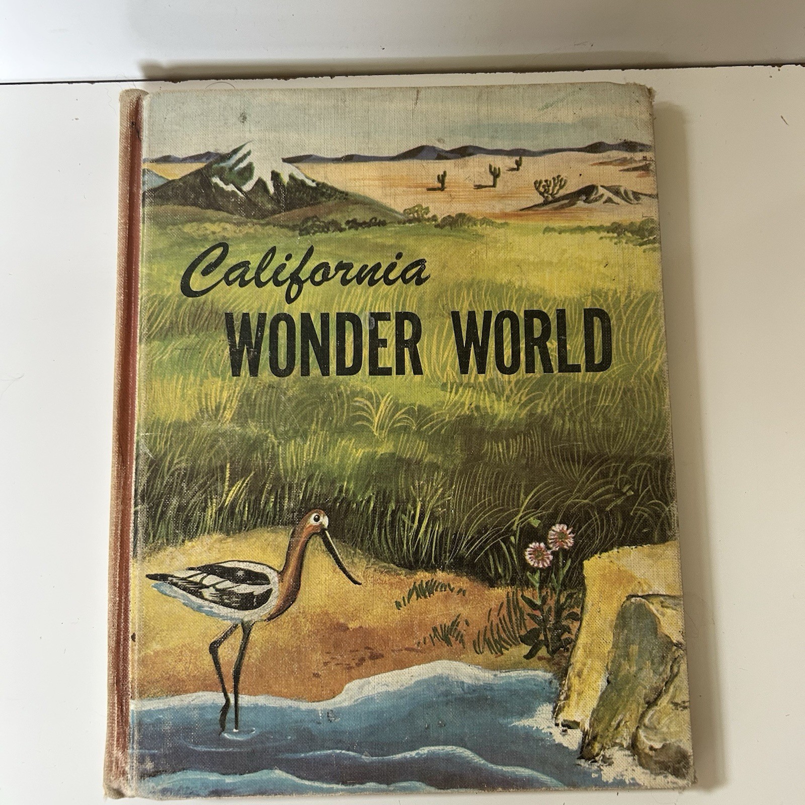 1959 California Wonder World Illustrated Children’s Nature Book Text 1st Print