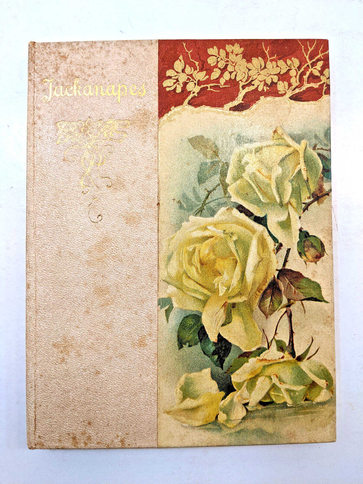 JACKANAPES by Juliana H. Ewing, 1904 E. P. Dutton Hardcover Book Illustrated