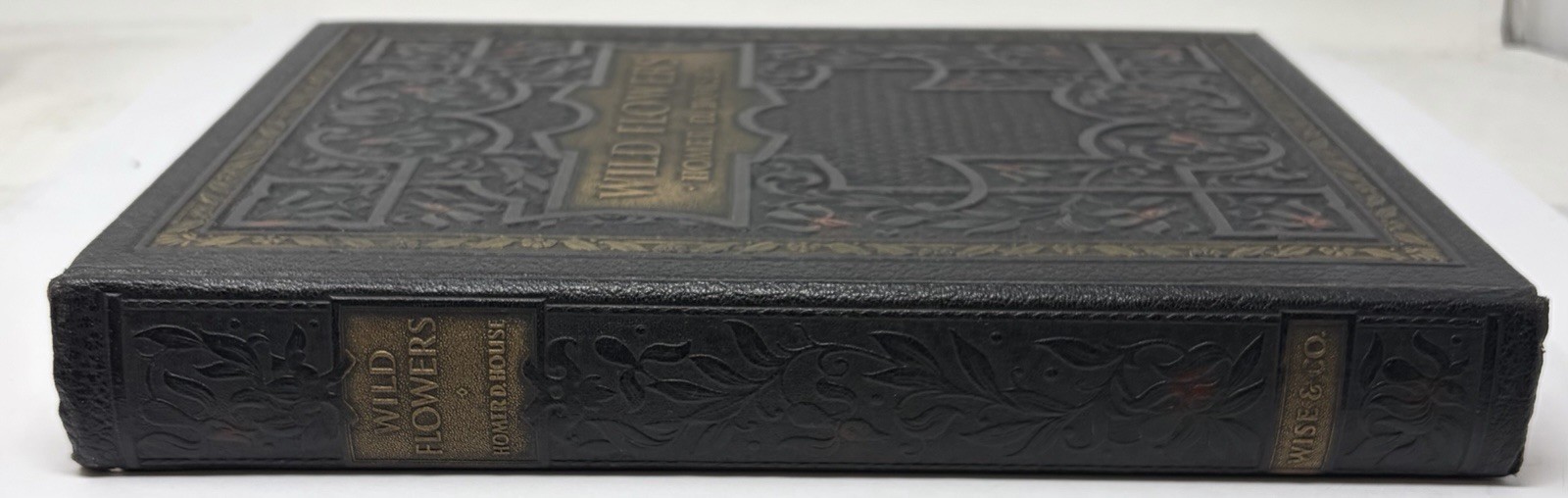 Wild Flowers by Homer D. House 1936 Antique Book Rare One Vol. Version Hardcover