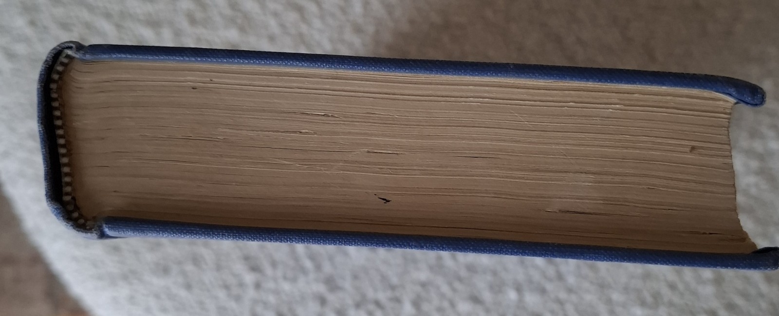 Francis S Betten / Ancient and Medieval History from the Origin of the Human