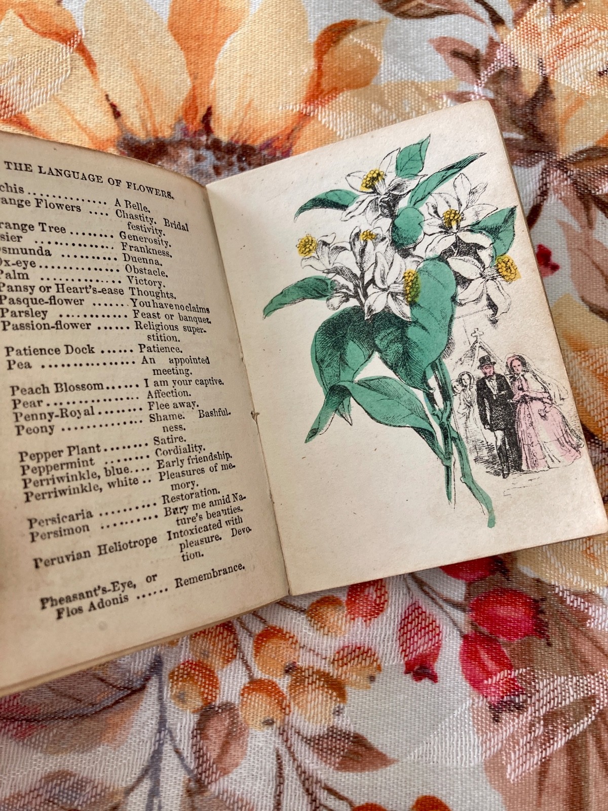 1865 Miniature Language of the Flowers & Alphabet of Floral Emblems Antique Book