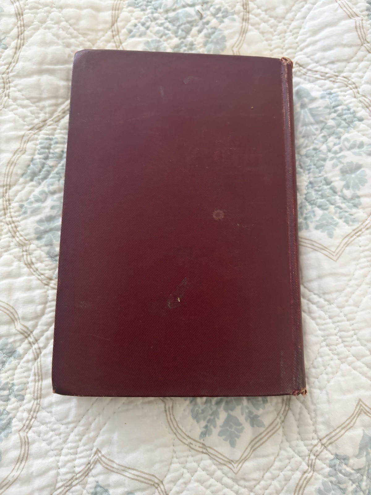1890 Chester Harding Artist Biography Margaret E. White Illustrated Antique Book