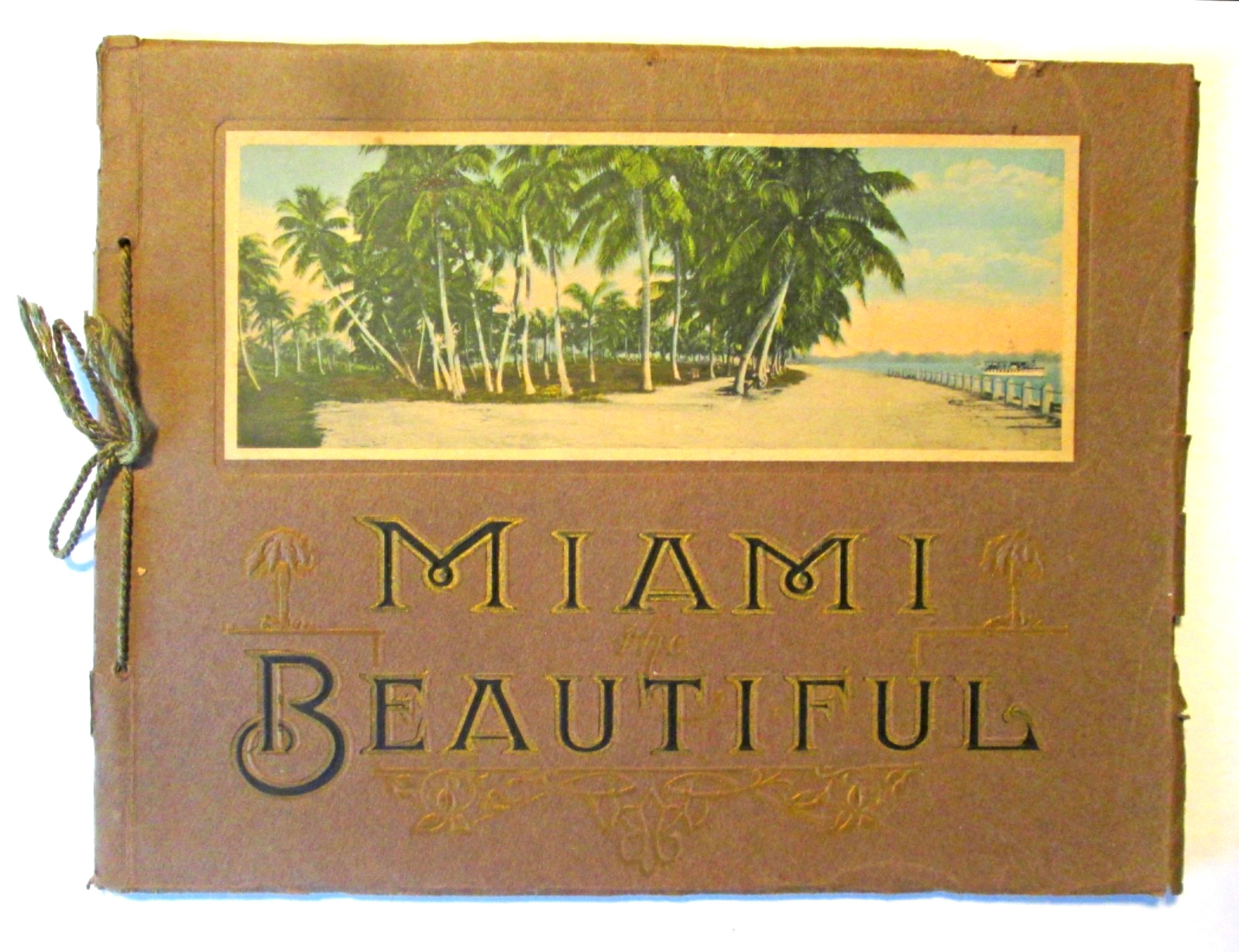 Miami the Beautiful Rare 100+ yr old book Hand tinted Color Plates Florida VG+