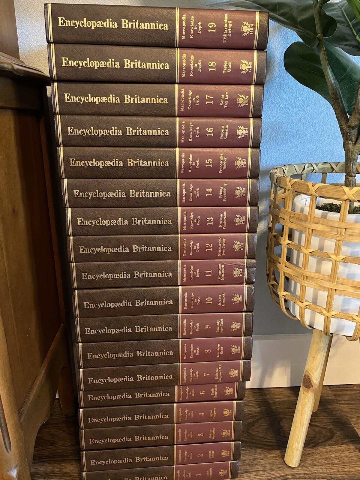 Volume 9 Humidity -Ivory Coast Encyclopedia Britannica Macropaedia 15th Ed. 1981