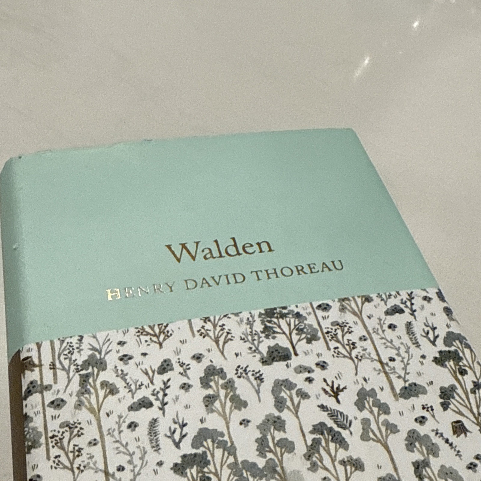 Walden by Henry David Thoreau New Cloth Bound Ribbon Mini Collectible Hardcover