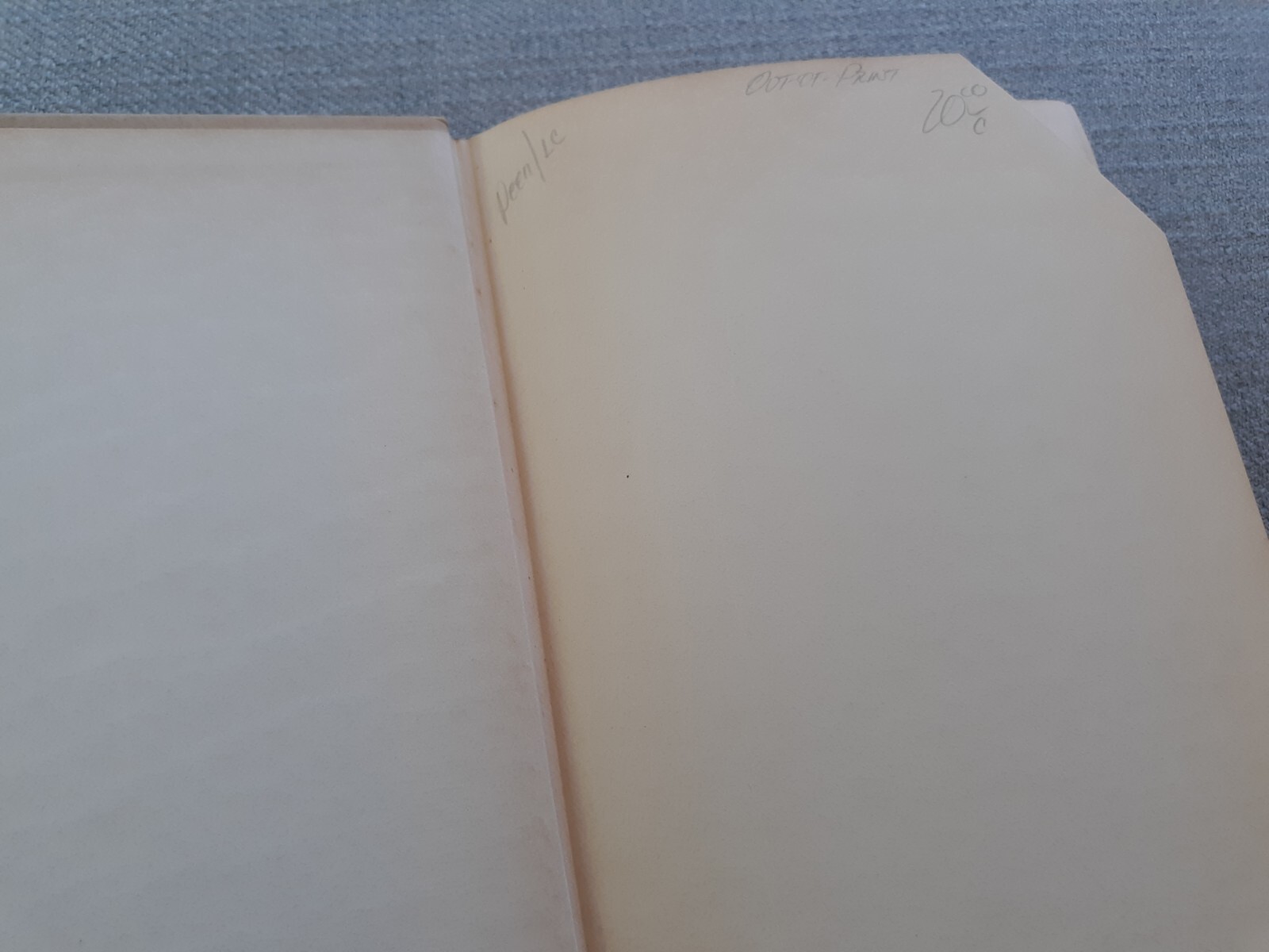 The Poetry Of Edmund Spenser By William Nelson, HCDJ 1963,Acceptable. ch