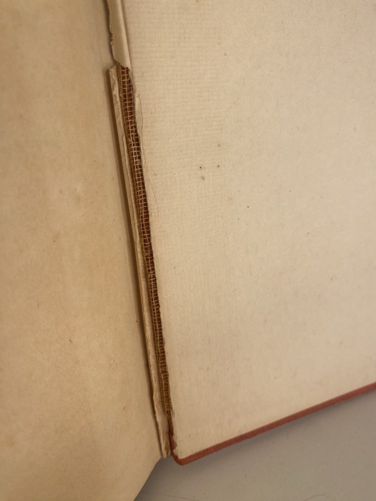 Edgar Rice Burroughs Tarzan The Terrible 1921 Hardcover Antique
