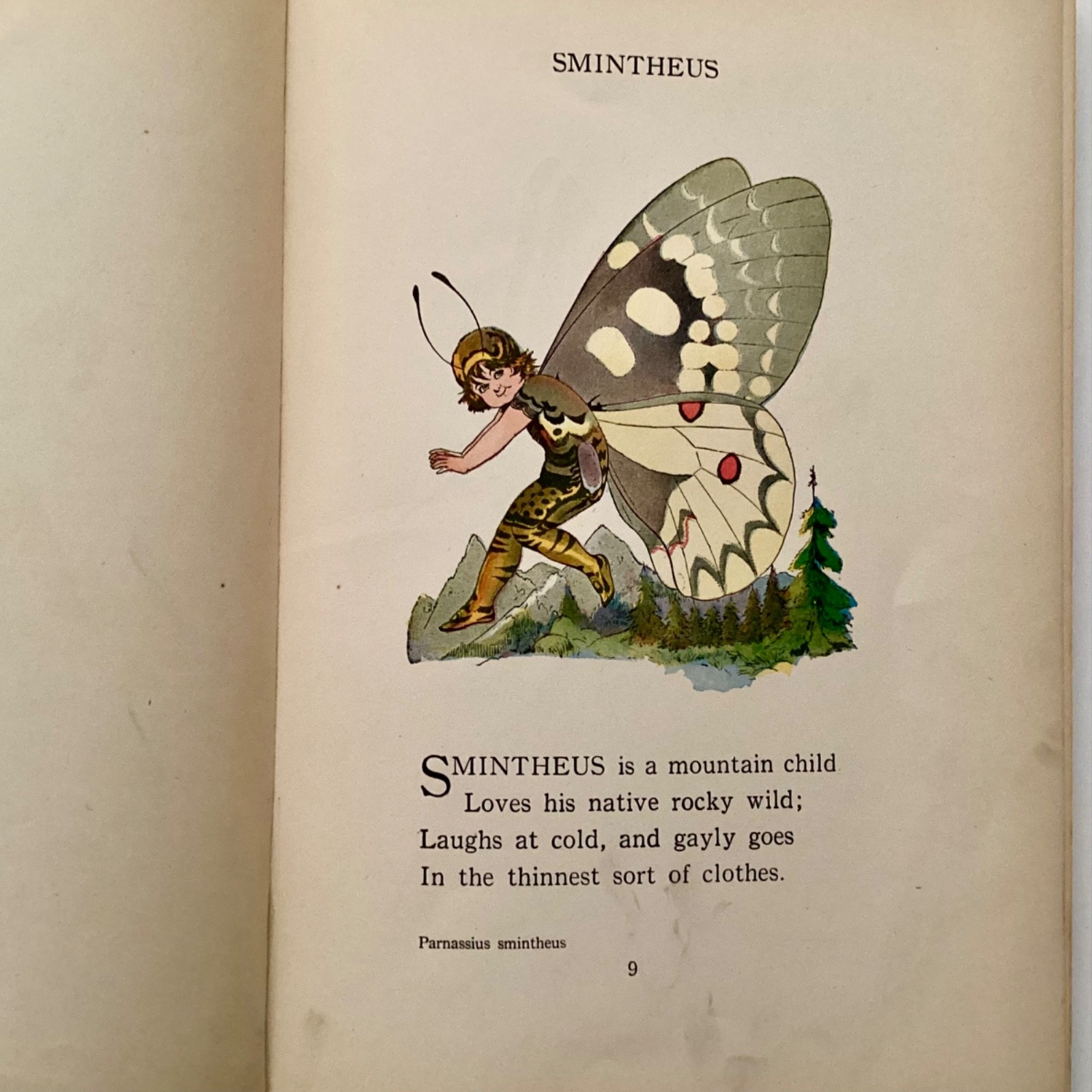 Elizabeth Gordon THE BUTTERY BABIES’ BOOK 1914