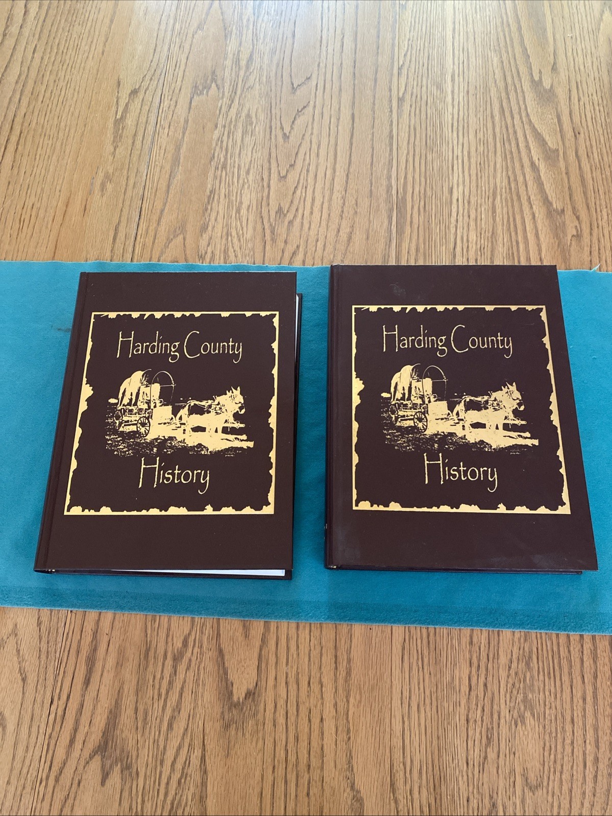 Harding County History South Dakota (HC 2013) VOL 1 & 2 Genealogy USED