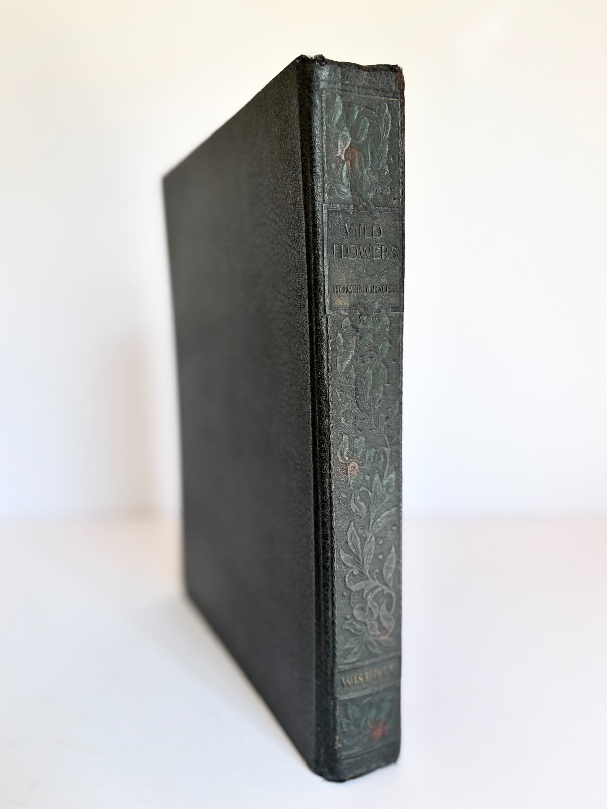 Wild Flowers Book Homer D House Macmillan 1935 Color Botanical Plates EXCELLENT