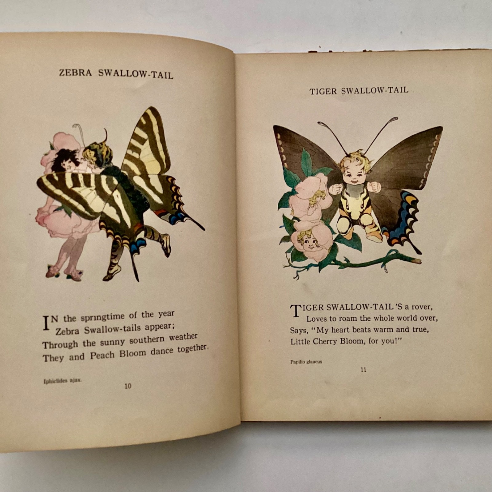 Elizabeth Gordon THE BUTTERY BABIES’ BOOK 1914
